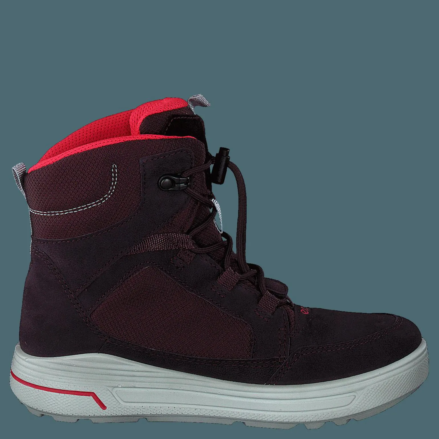 Ecco Urban Snowboarder Fig/teaberry