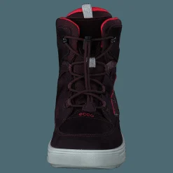 Ecco Urban Snowboarder Fig/teaberry