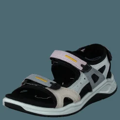 Ecco X-trinsic K Multicolor Blossom Rose