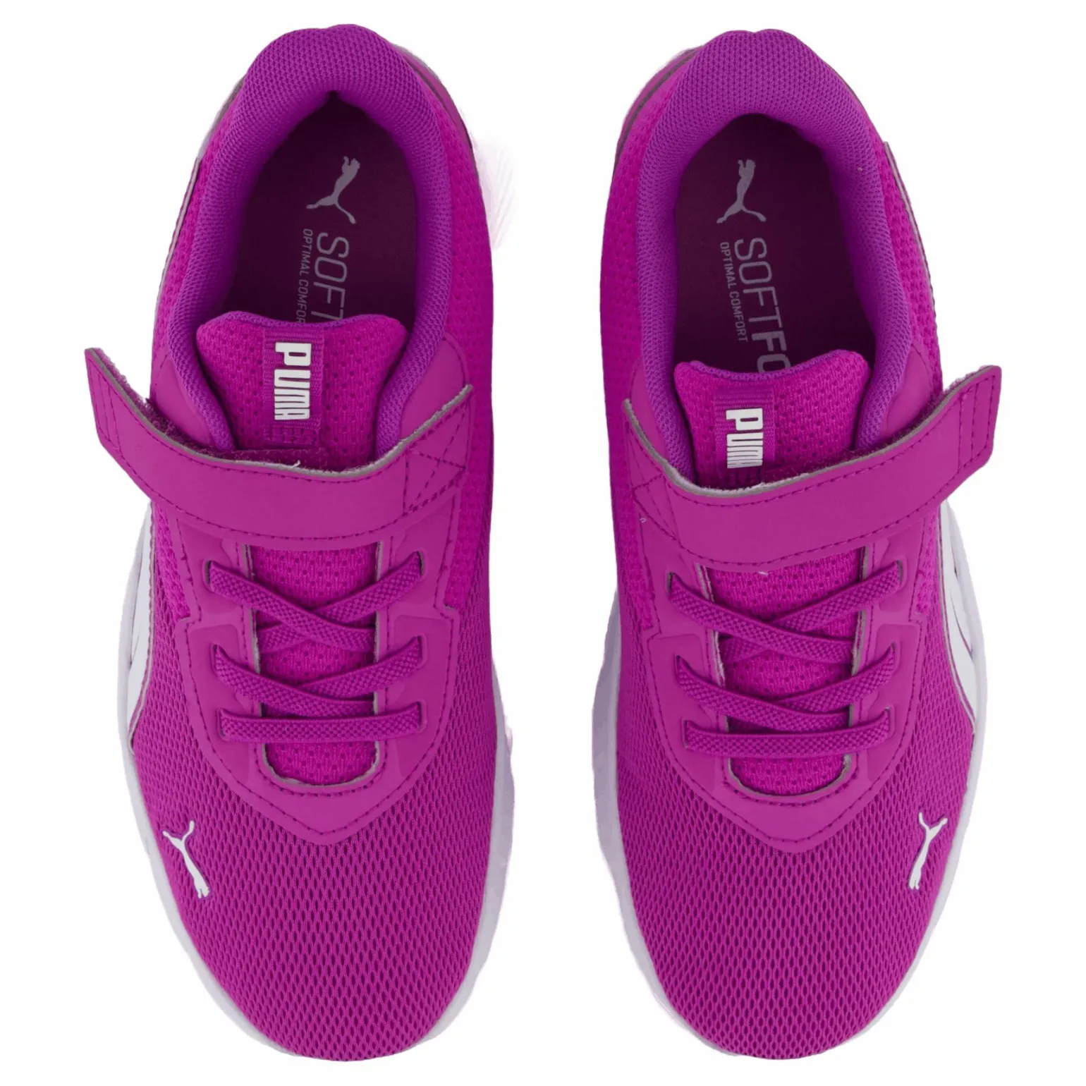 Flexfocus Modern Ac+ Ps Wild Berry-puma White