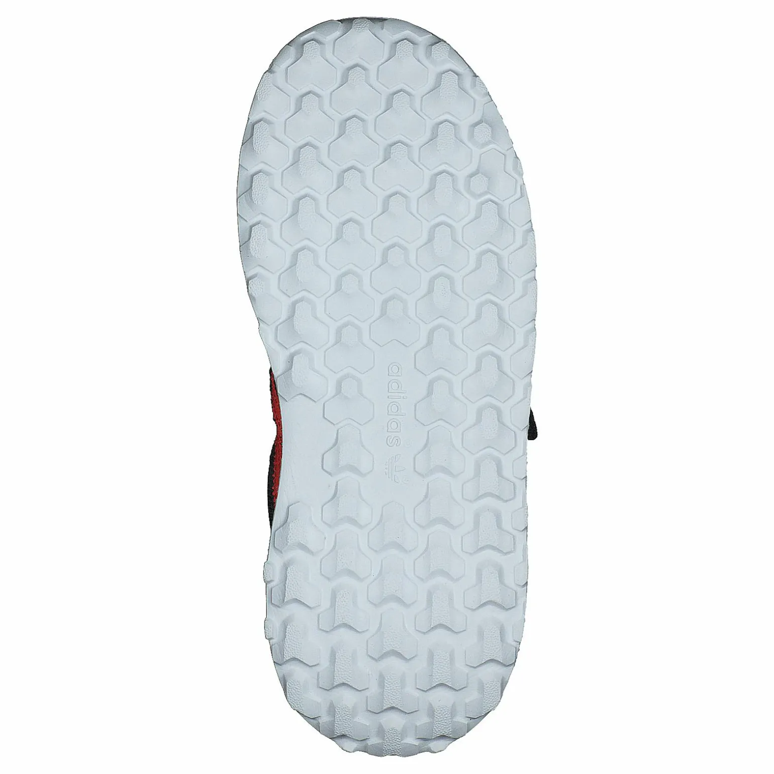 Forest Grove Cf I Cblack/actora/easyel