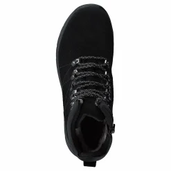 Goldy Studs Black 06