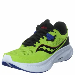 Guide 15 Acid/blue Raz