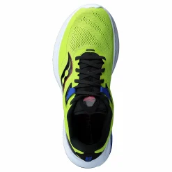 Guide 15 Acid/blue Raz