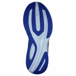 Guide 15 Acid/blue Raz