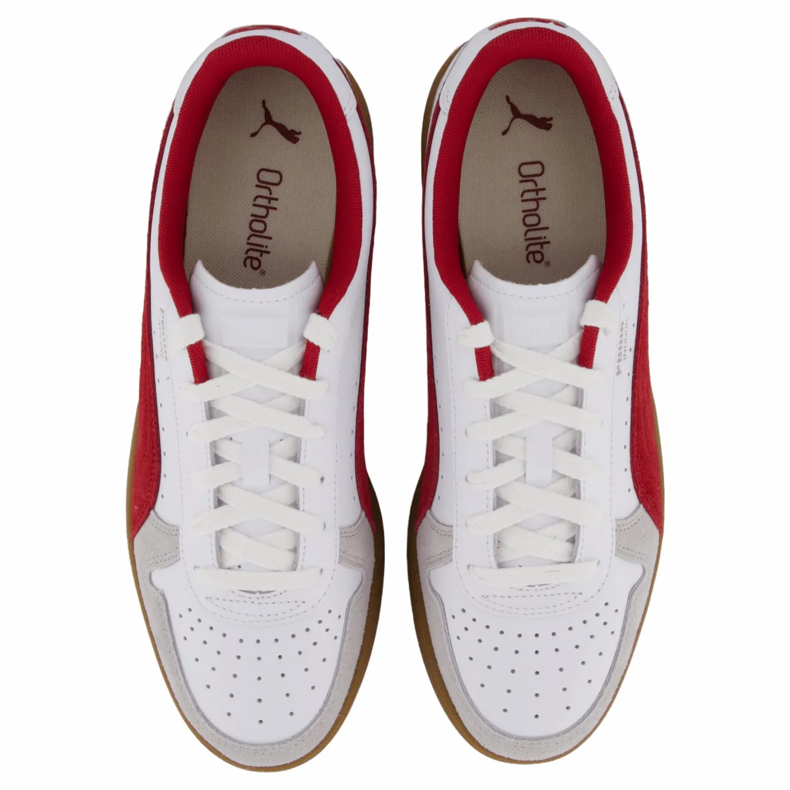 Indoor White-dark Myrtle-gum