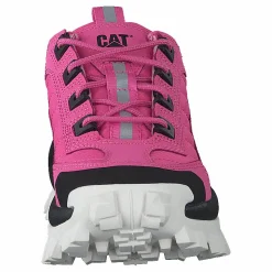 Intruder Azelea Pink