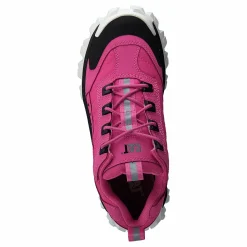 Intruder Azelea Pink