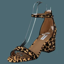 Irenee-l Leopard