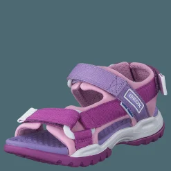 J Borealis G Purple/pink