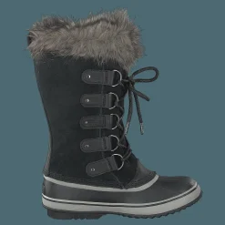 Joan Of Artic Black Quarry