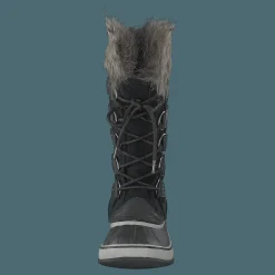 Joan Of Artic Black Quarry