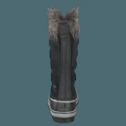 Joan Of Artic Black Quarry