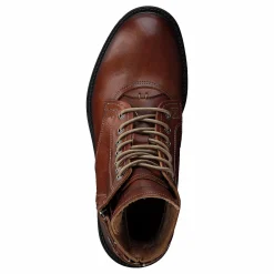 Kingdom Stout Leathe Cognac