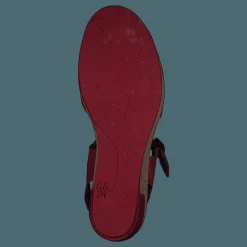 Leaves Pleasant Tibet