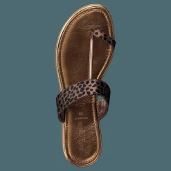 Leonora1160 Light Chestnut