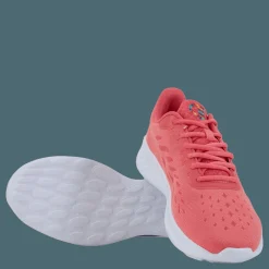 Low Cut Shoe Element Core Ps013