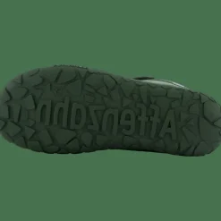 Mid Boot Wool Dreamer Forest