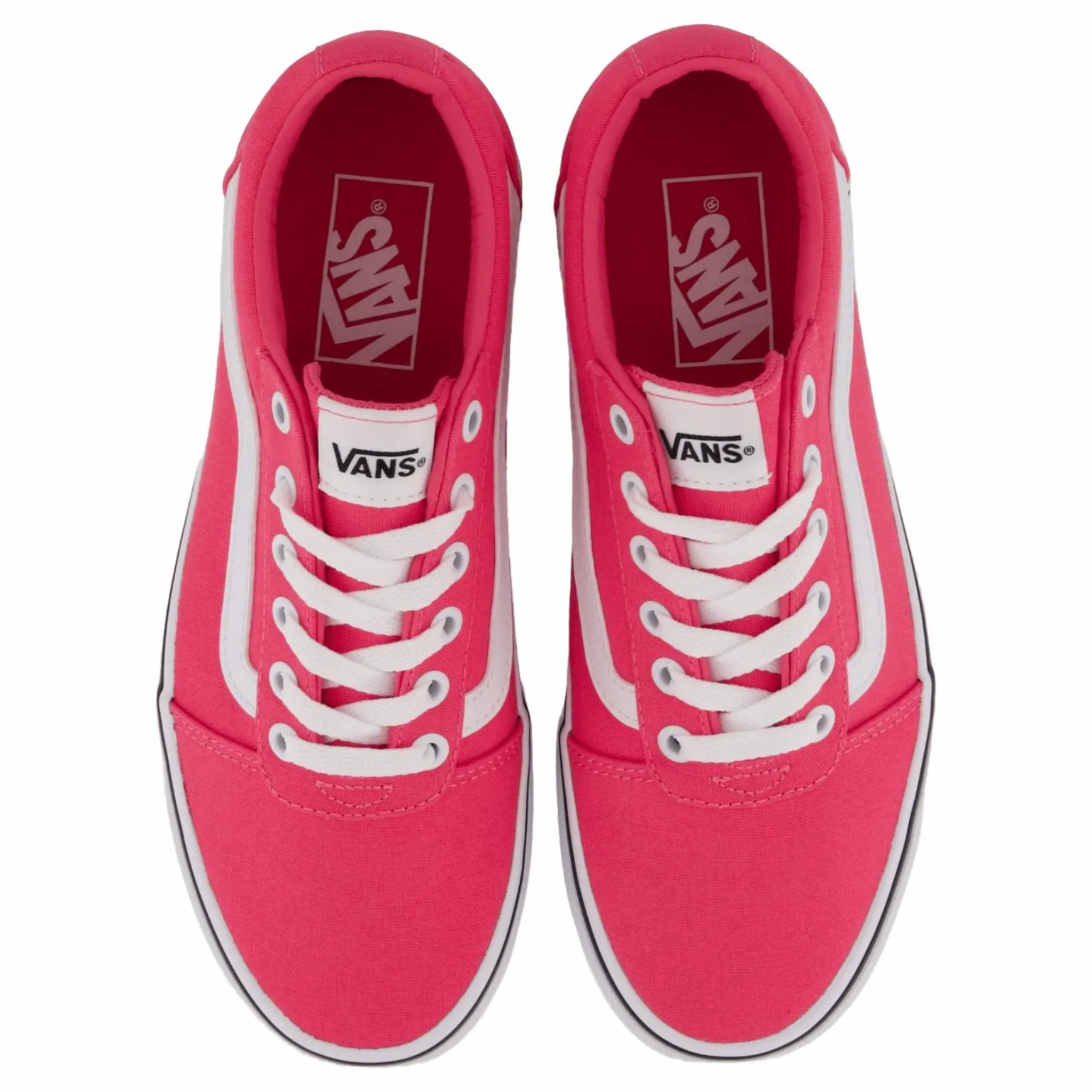 Mn Ward Canvas Honeysuckle