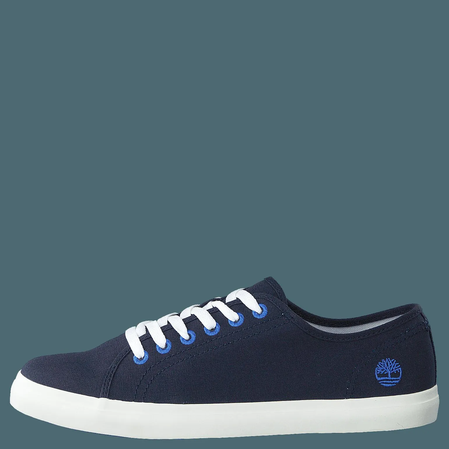 Newport Bay Ox Black Iris