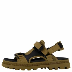 Palladune Og Sport Olive