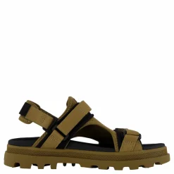 Palladune Og Sport Olive