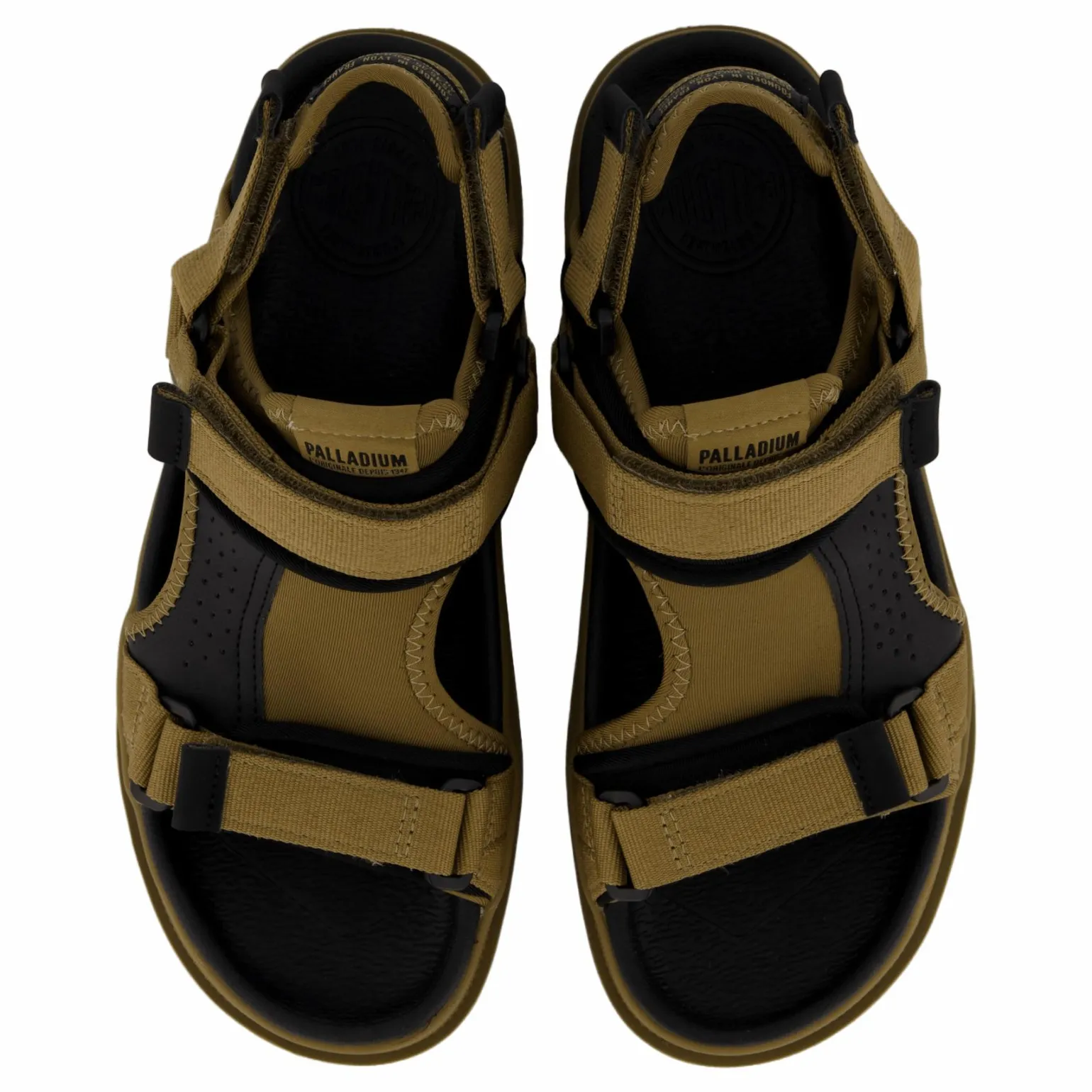 Palladune Og Sport Olive