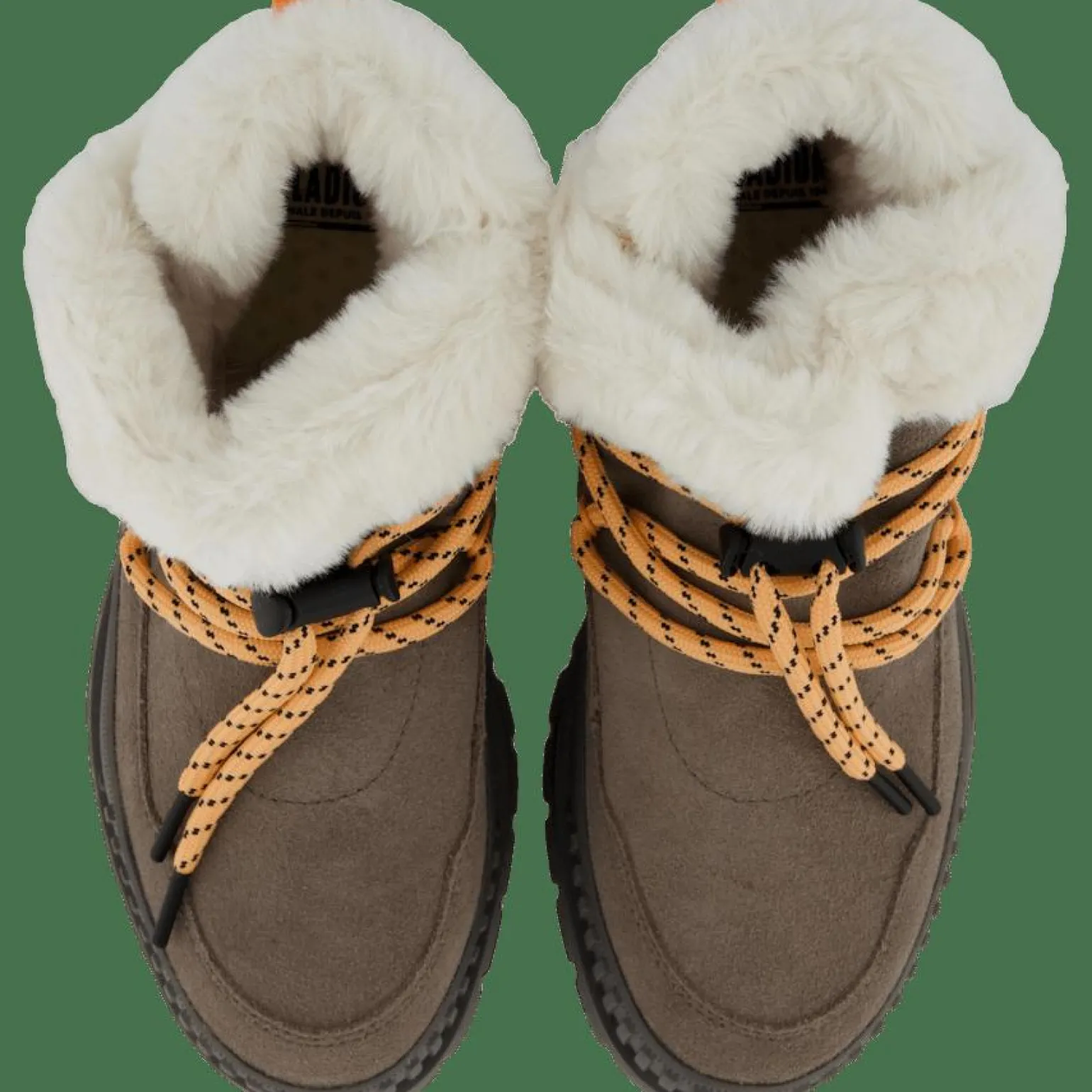 Pallashock Lo Hiver Rocks