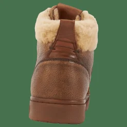 Polo Crt Hgh-sneakers-low Top  Brown