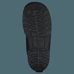 Putkivarsi Boysenberry Ghost