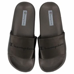 Queens Slide Fallen Rock