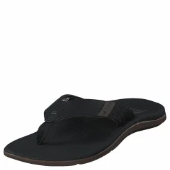 Reef Santa Ana Black