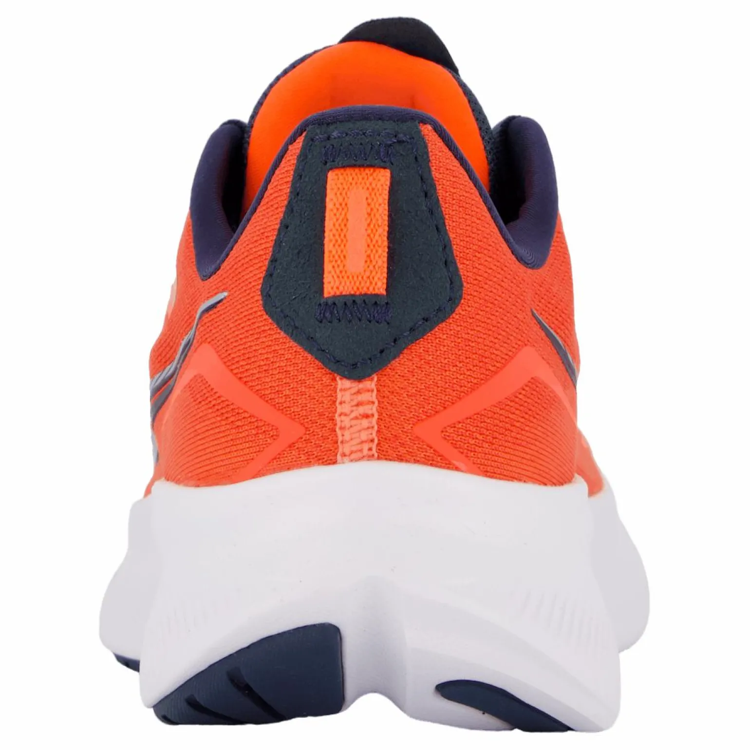 Ride 15 Vizired/night