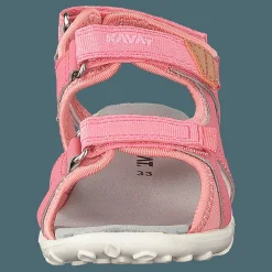 Rio Tx Strawberry Rose