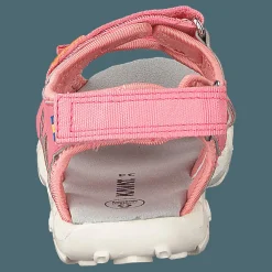 Rio Tx Strawberry Rose