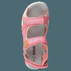 Rio Tx Strawberry Rose