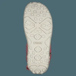 Rio Tx Strawberry Rose