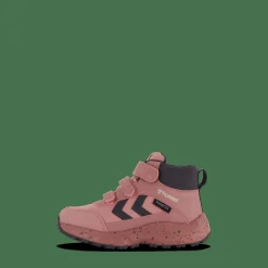 Root Tex Infant Nostalgia Rose