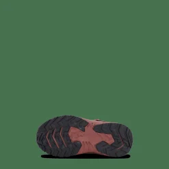 Root Tex Infant Nostalgia Rose