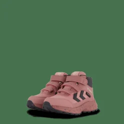 Root Tex Infant Nostalgia Rose