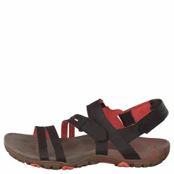 Sandspur Rose Convert Espresso/coral