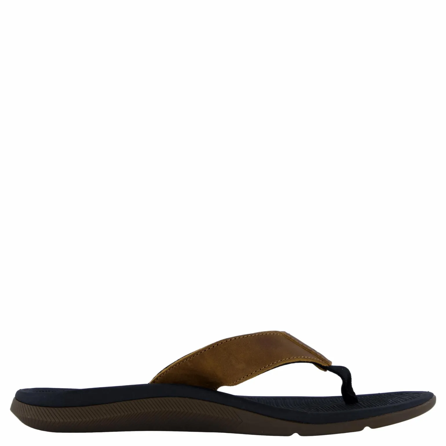 Santa Ana Le Black And Tan