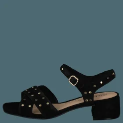 Sheer35 Strap Black Suede Studded