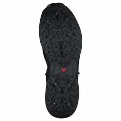 Shelter Spikes Cs Wp W Black/ebony/wine Tasting