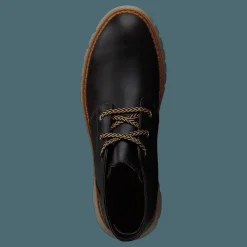 Sidcup Wp Coffee Bean