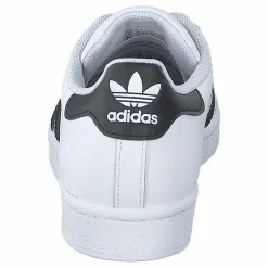 Superstar Ftwwht/cblack/ftwwht