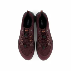 Terracruise II W Fig/fig