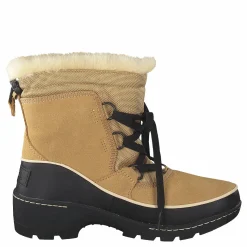 Torino 373 Curry Black