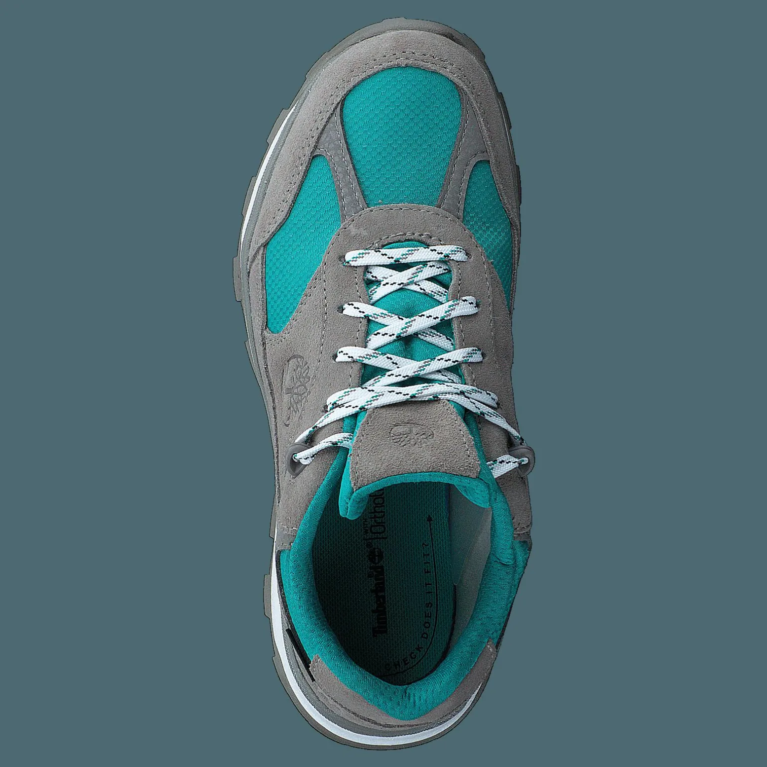 Trail Trekker Low Gtx Elephant Skin