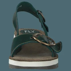 Tram 2 Bridle-petrol